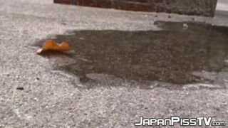 Hidden Camrips on a Naive Young Asian Vixen Schoolgirl
